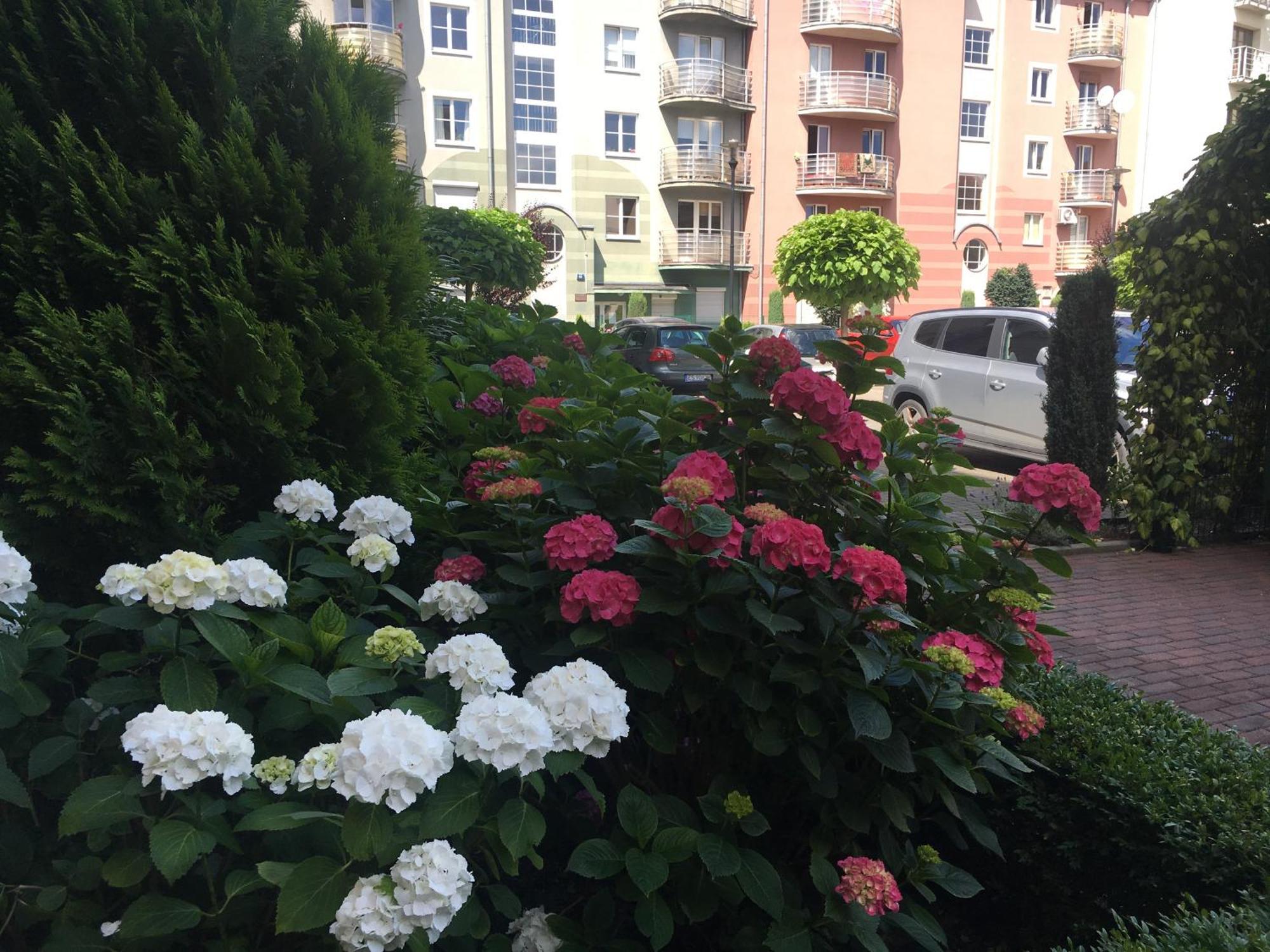 Hostel Annamarie ชเตชชิน ภายนอก รูปภาพ